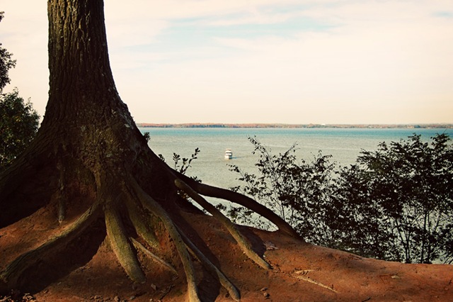 [DSC_0574 copy 2[4].jpg]